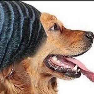 Meet your Posher, Lani